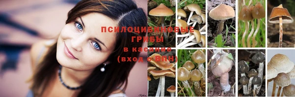 прущая мука Заволжье
