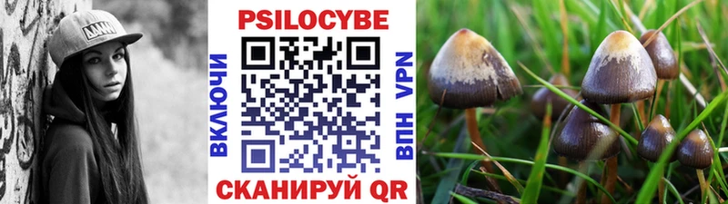 дарнет шоп  Радужный  Псилоцибиновые грибы GOLDEN TEACHER 